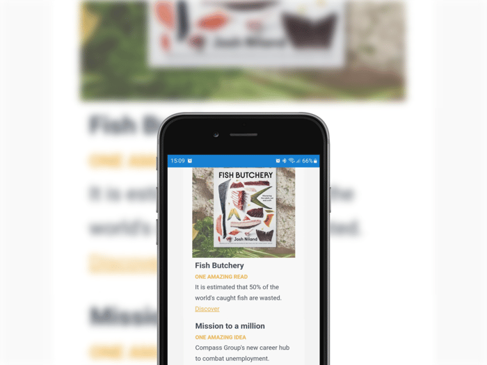 One Amazing Experience newsletter on iphone